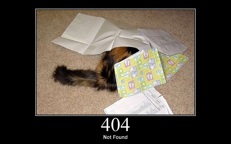 404 error. A picture of a cat hiding under papers.